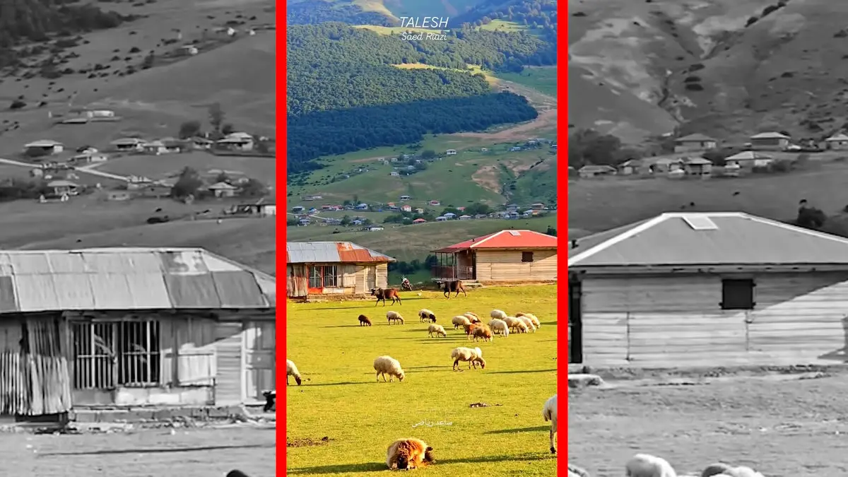 فیلم غروب دیدنی ارتفاعات تالش