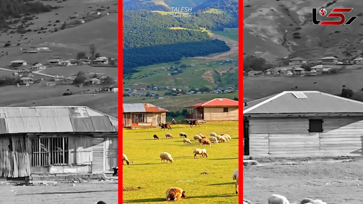 فیلم غروب دیدنی ارتفاعات تالش