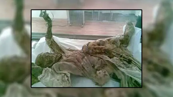 مومیایی 2300 ساله در فهرست آثار ملی جای گرفت