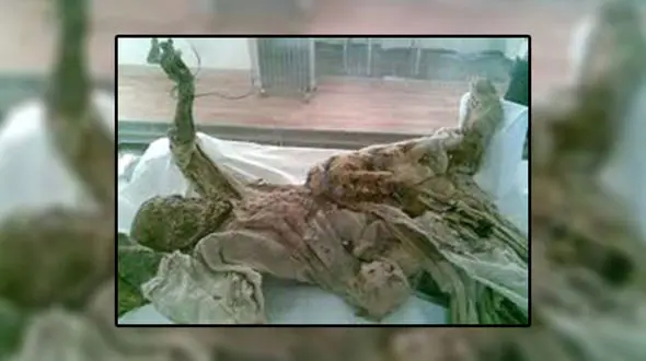 مومیایی 2300 ساله در فهرست آثار ملی جای گرفت