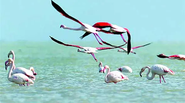 وضعیت نامطلوب فریدونکنار 