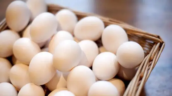 راهنمای کامل پاستوریزه کردن تخم مرغ خام در خانه
