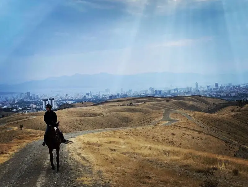 سارا بهرامی 