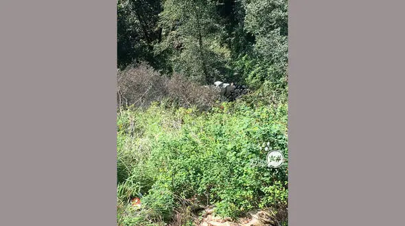 بلای وحشتناک بر سر 2 زن و 3 مرد در جواهرده رامسر