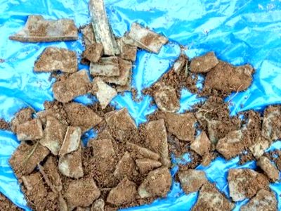 کشف گنجینه 3 هزارساله زباله‌ های بازیافتی در دل یک زمین کشاورزی + عکس