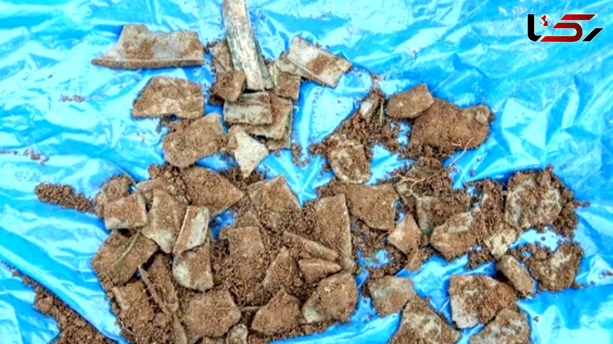 کشف گنجینه 3 هزارساله زباله های بازیافتی در دل یک زمین کشاورزی + عکس