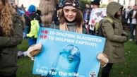حرکت اعتراضی ستاره سینما به کشتار دلفین‌ها +عکس