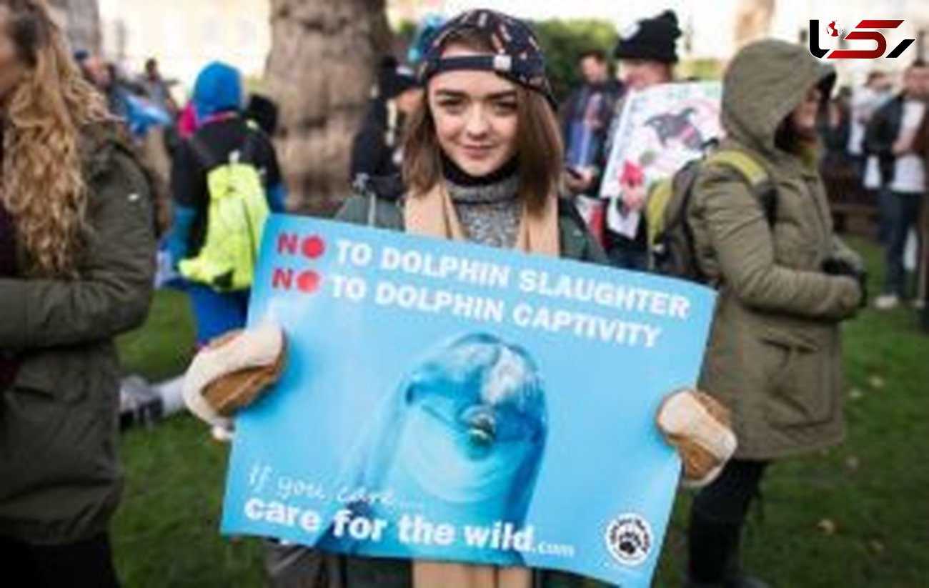 حرکت اعتراضی ستاره سینما به کشتار دلفین‌ها +عکس