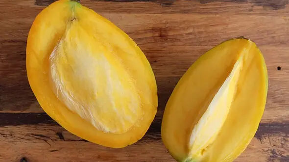 فواید درمانی هسته انبه