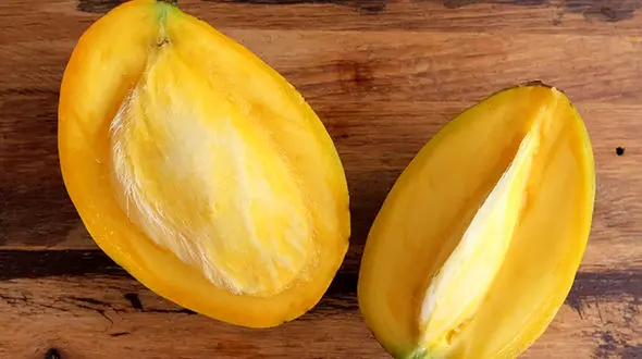 فواید درمانی هسته انبه