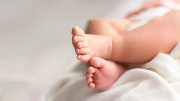 فیلم تلخ از نوزاد رهاشده تبریزی کنار سطل زباله