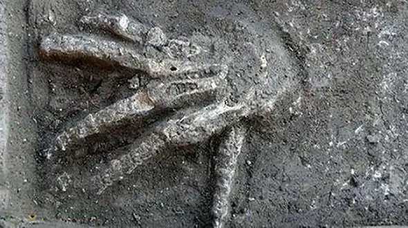 مشاهده غول در یکی از قصر‌های مصر باستان + عکس