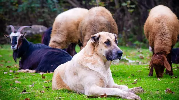 فال و طالع بینی امروز 23 مهر 