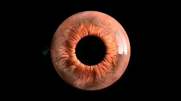 در چشم شما چه می گذرد؟ + فیلم