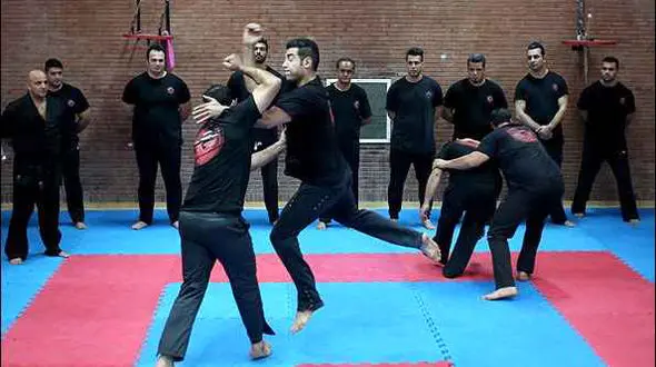 محافظت بادیگارد های ایرانی از الناز شاکردوست و محمدرضا گلزار + تصاویر 