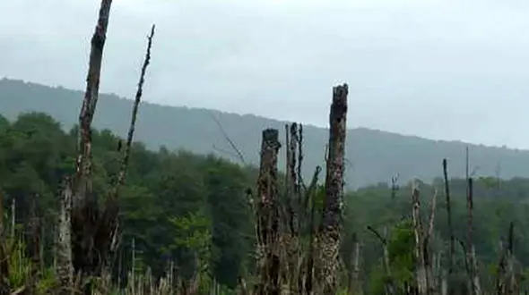 تالاب ارواح نوشهر مکانی که هرگز نباید رفت! + عکس