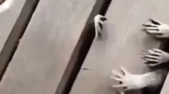 این دست های مرموز وحشتناک هستند !+ فیلم تکاندهنده