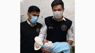 تولد نوزاد عجول هوراندی در داخل آمبولانس