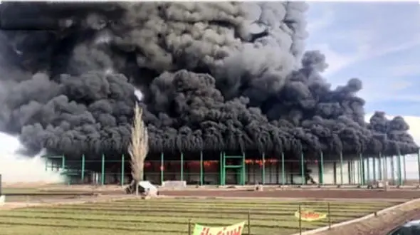 فیلم / لحظه آتش‌سوزی در سردخانه در حال احداث محور اردبیل–مغان