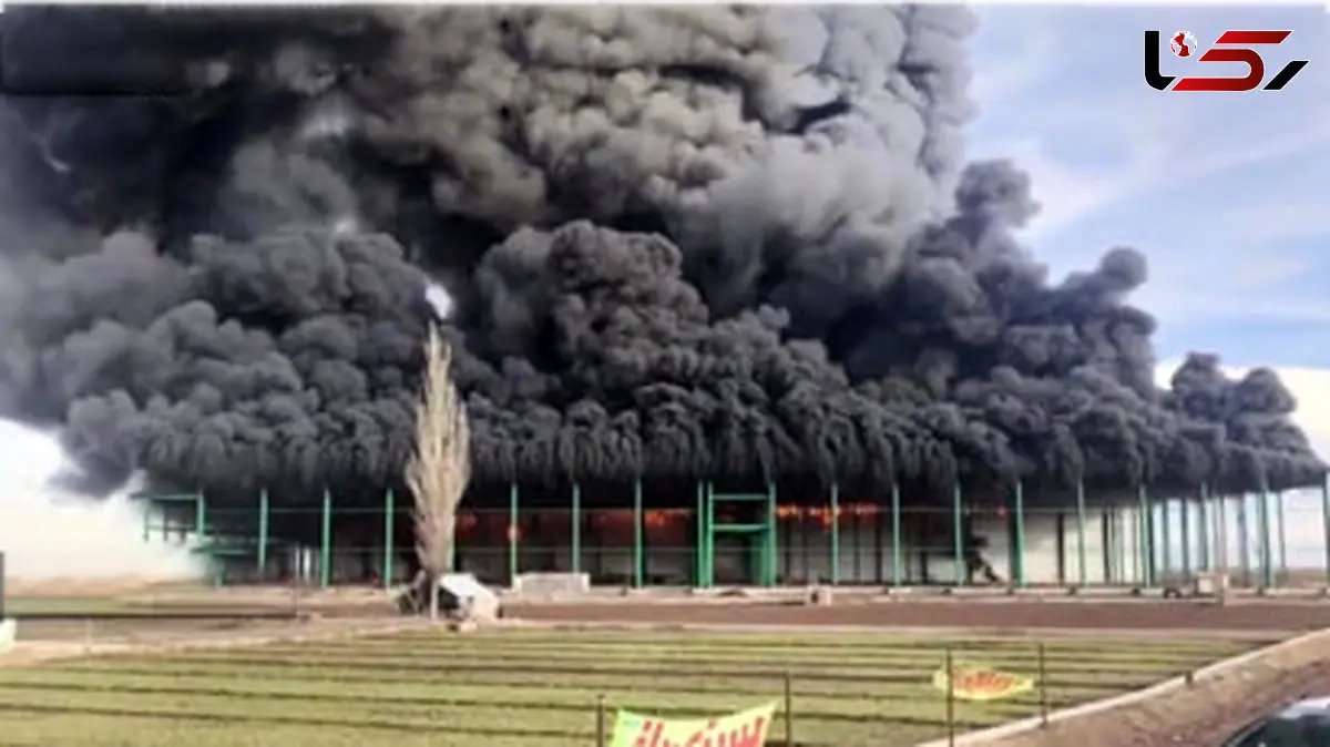 فیلم / لحظه آتش‌سوزی در سردخانه در حال احداث محور اردبیل–مغان