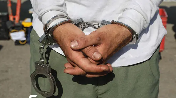 سرقت از یک پزشک تهرانی / دزد گرفتار مالخرها شد