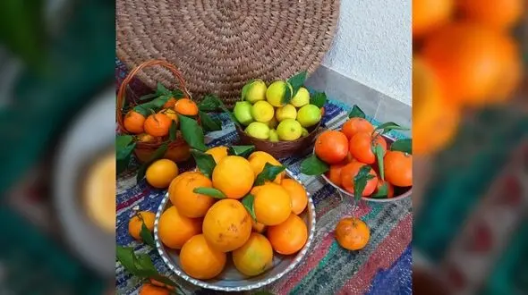 فال و طالع بینی روزانه 12 فروردین 1405