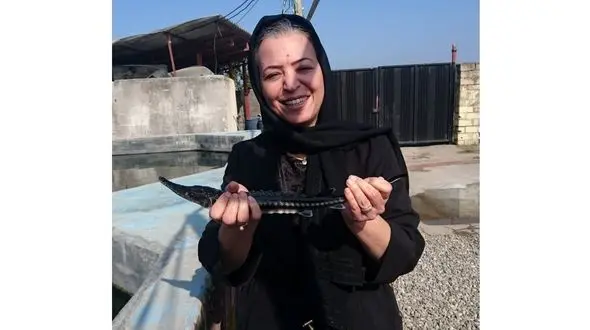 500 تن ماهی در قفس زن کارآفرین+ فیلم