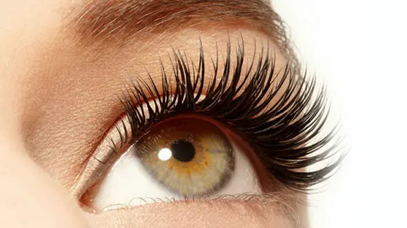 کاشت مژه هیدن چیست؟ + فیلم