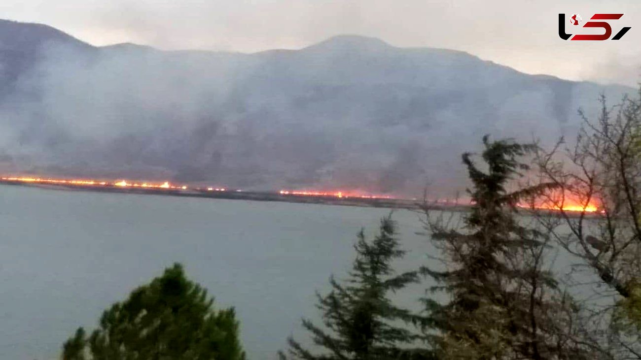 آتش سوزی نیزار‌های دریاچه زریبار مریوان