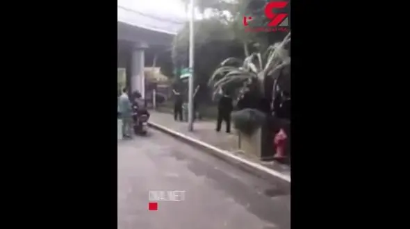 رفتار وحشیانه ماموران با یک سگ برای عقیم کردن آن ! + فیلم