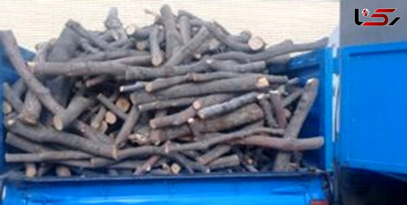 
کشف یک تن چوب جنگلی بلوط قاچاق در اردل