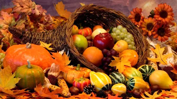 توصیه غذایی به سردمزاج‌ها و گرم‌مزاج‌ها در پاییز 