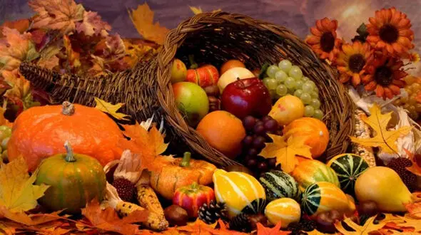 توصیه غذایی به سردمزاج‌ها و گرم‌مزاج‌ها در پاییز 