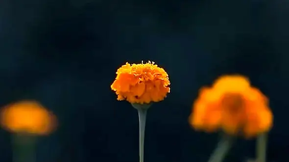 آینده را امروز بساز