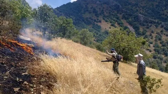 عاملان آتش سوزی های عامدانه مزارع کشاورزی در امان نمی مانند