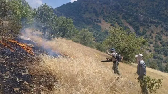 عاملان آتش سوزی های عامدانه مزارع کشاورزی در امان نمی مانند