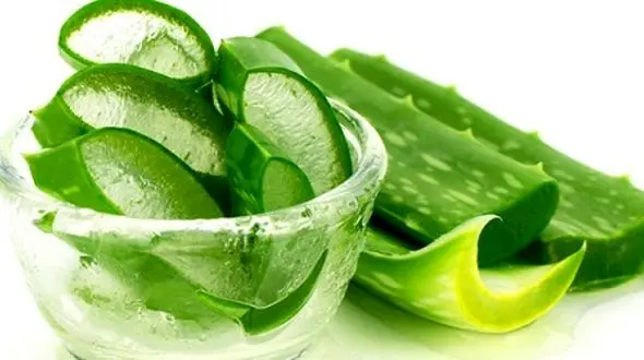 درمان هزار و یک بیماری با ژل آلوئه ورا