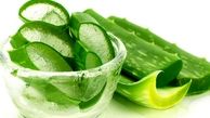 درمان هزار و یک بیماری با ژل آلوئه ورا