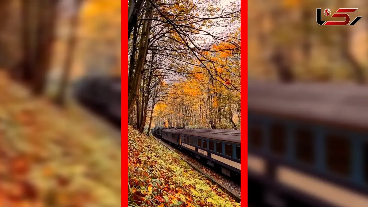 فیلم عبور قطار میان جنگل پاییزی شیرگاه در مازندران