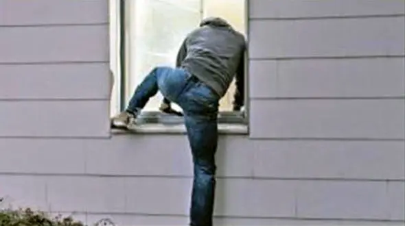 کشف جرم با امضای میکروبی / اختراعی که راه دزدان را برای همیشه می بندد