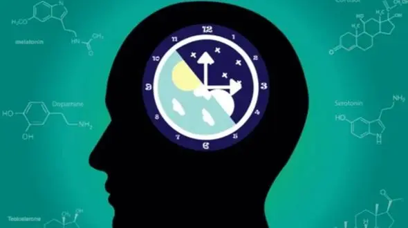 بهترین روش برنامه‌ ریزی درسی: استفاده از چرخه‌ های مغزی