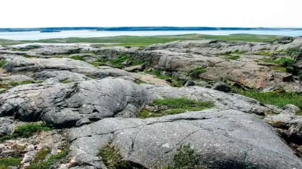 سنگ‌ های میلیون ساله؛ کشف شگفت‌ انگیز در کانادا