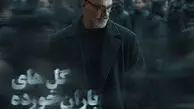  فیلم و دانلود آهنگ «گل‌های باران خورده» علیرضا قربانی منتشر شد /  «رفتی و دنیا غرق شد در گریه‌هایم» 