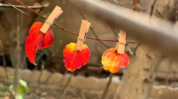 فال و طالع بینی روزانه / 18 مهر 1402 + فیلم