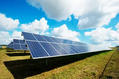 نخستین «مناطق سبز» ایران متولد شدند