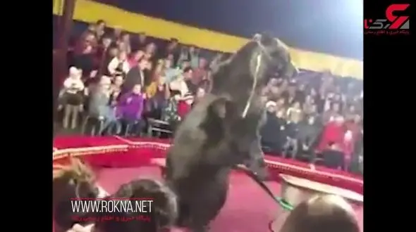 لحظه وحشتناک حمله خرس به مربی سیرک! + فیلم