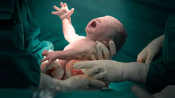 لحظه‌ای فراموش‌نشدنی تولد نوزاد در دل تالاب + جزئیات