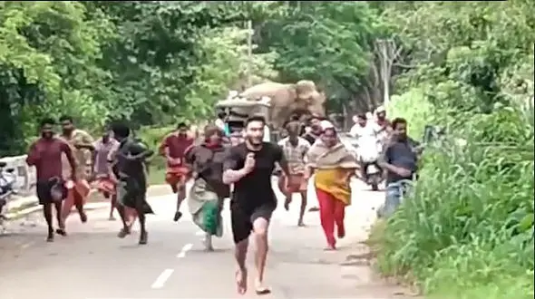 حمله گله فیل ها به روستاییان هندی+ عکس