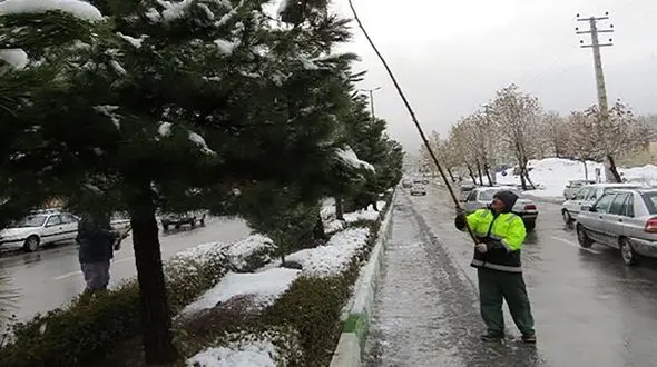 اجرای گسترده عملیات برف‌تکانی درختان در منطقه یک