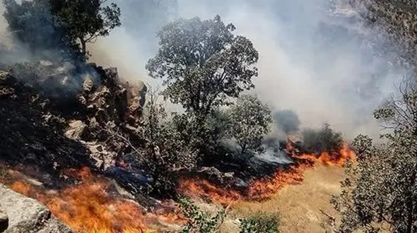 حریق بلای جان ۱۳۰۰ هکتار از جنگل‌ها و مراتع لرستان